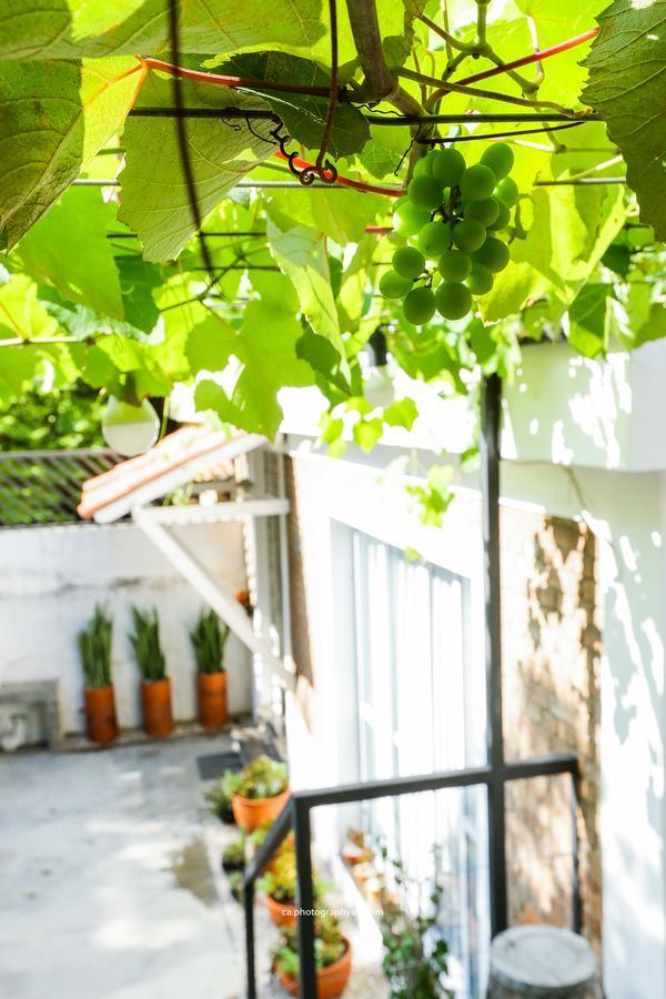 Hostel Grape Wine San Paolo Esterno foto
