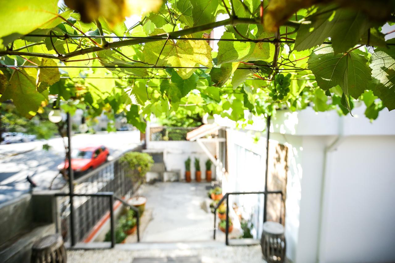 Hostel Grape Wine San Paolo Esterno foto