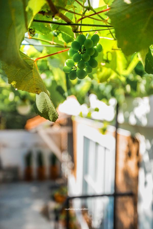 Hostel Grape Wine San Paolo Esterno foto